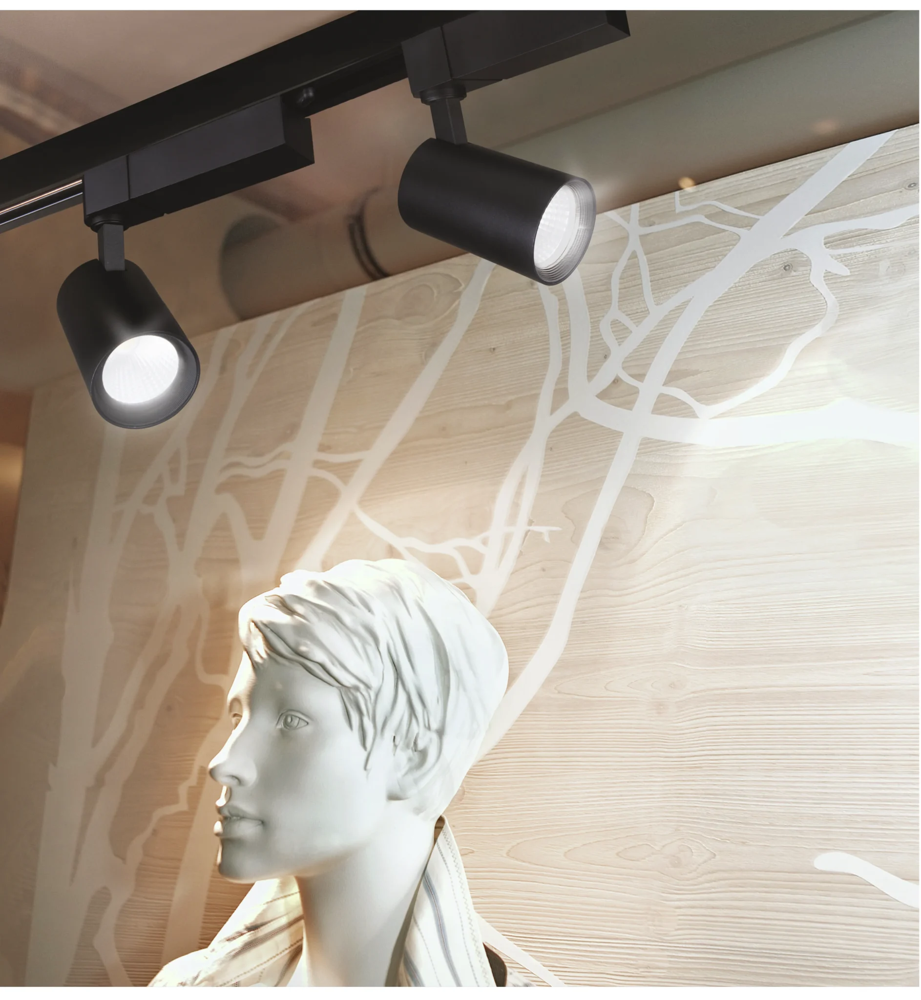 Philips LED track light illuminating artwork in Chennai home